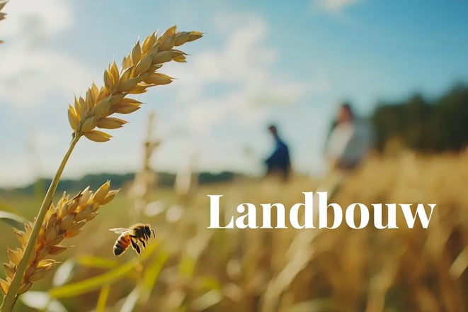 €50M credit fund launched to boost soil carbon farming in Europe_Close up of golden crops with a bee flying nearby, and Lithuanian farmers in the background_visual 1_NL