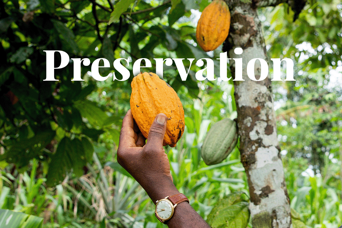 010323_The Role of Local Communities in Preserving Ivory Coast_s Forests_Visual 1