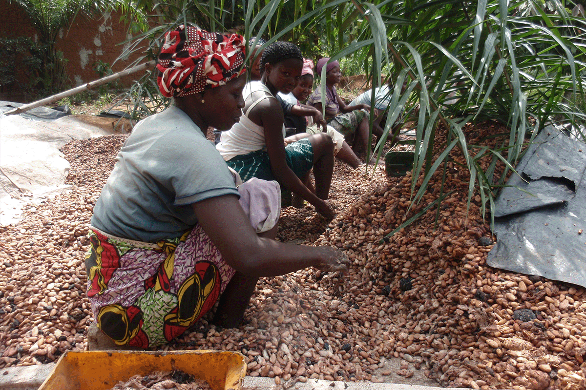 010323_The Role of Local Communities in Preserving Ivory Coast_s Forests_Visual 2
