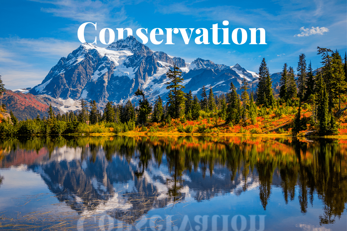 010323_Washington State proposes carbon bill to boost nature conservation efforts
