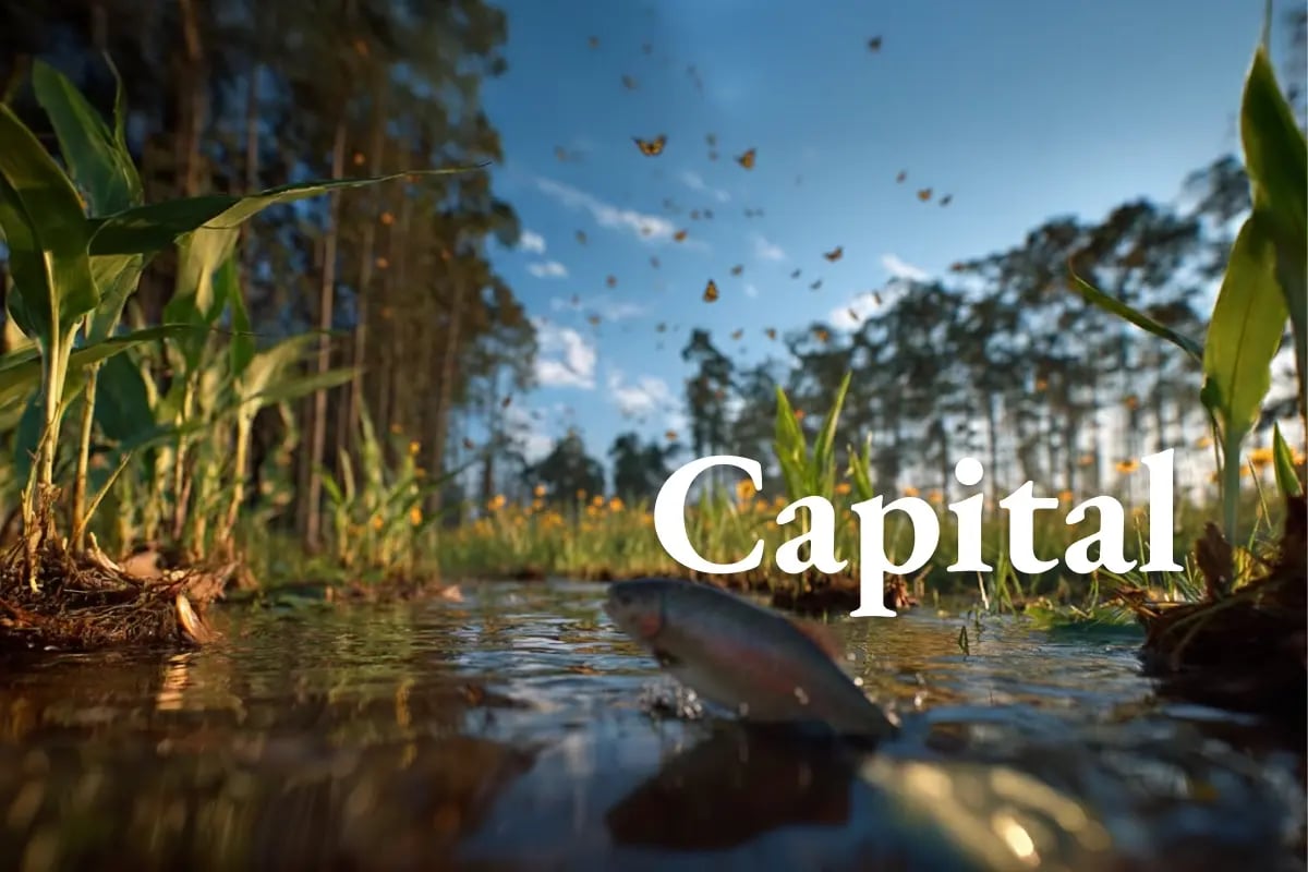 020226_GE_UNEP report_ Biodiversity offsets emerge as leading private funding source for NBS_visual 1