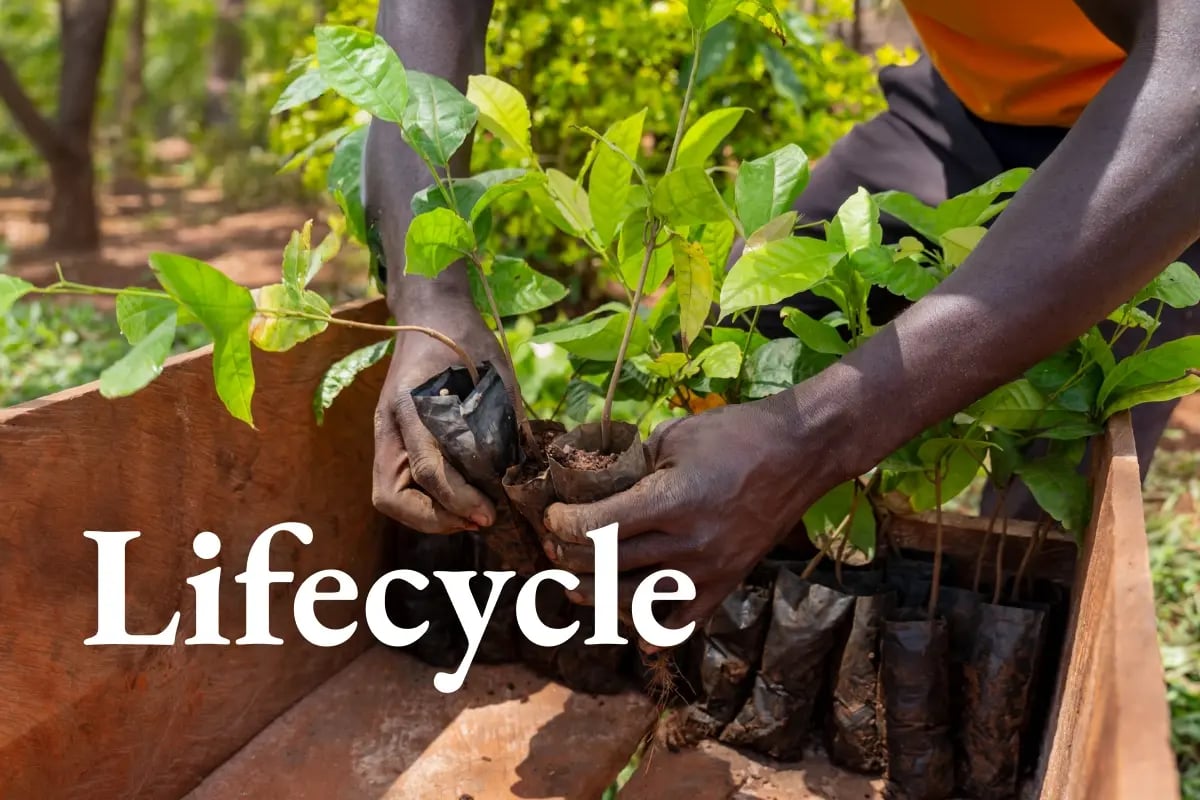 020226_GE_What makes high-quality carbon credits_ And why buyers should look for developer-grade projects_visual 1