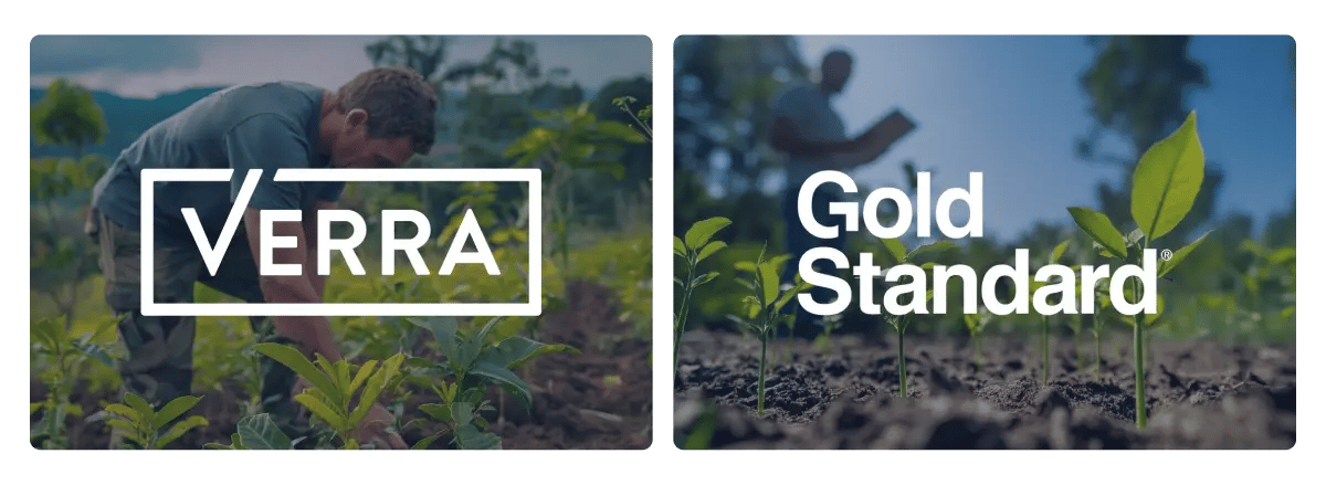 020226_GE_What makes high-quality carbon credits_ And why buyers should look for developer-grade projects_visual 5