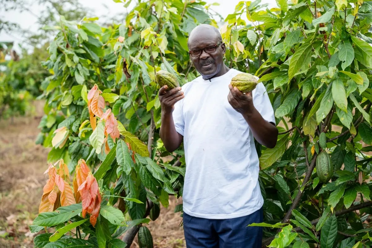 020326_Agroforestry explained_a guide to regenerative farming_visual 6