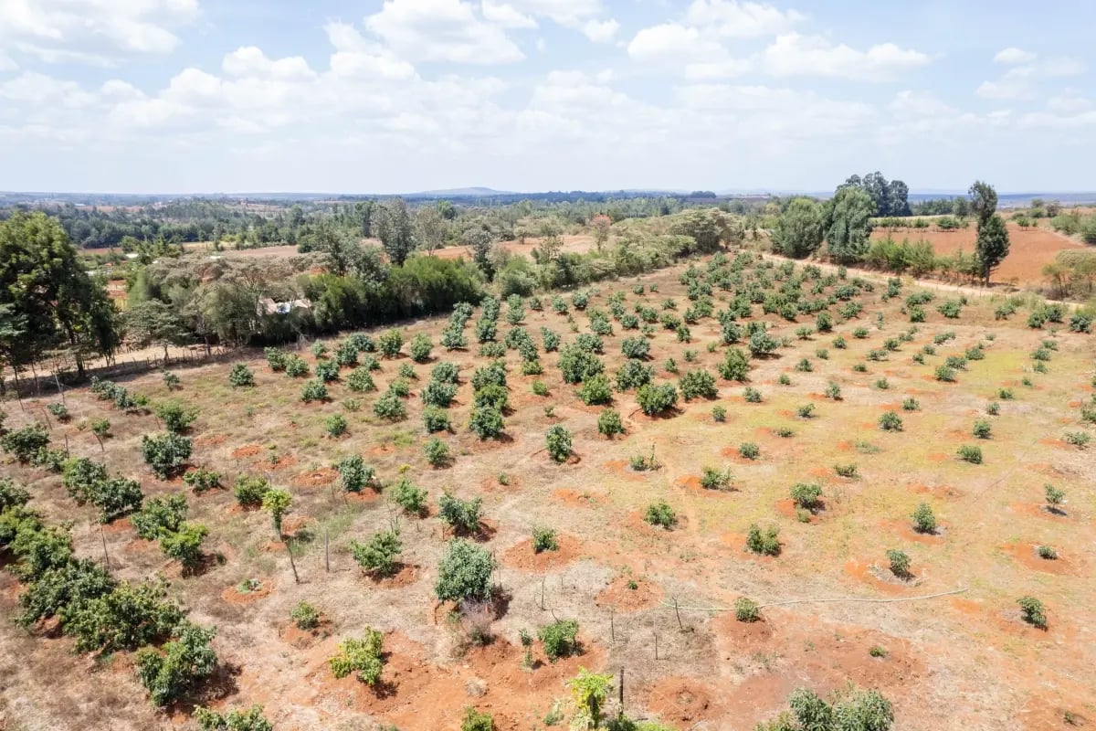 020326_Agroforestry explained_a guide to regenerative farming_visual 8