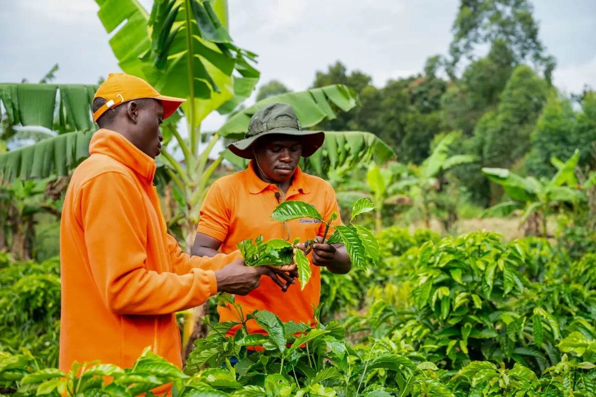 020326_How carbon project developers quantify biodiversity and community impact_visual 3