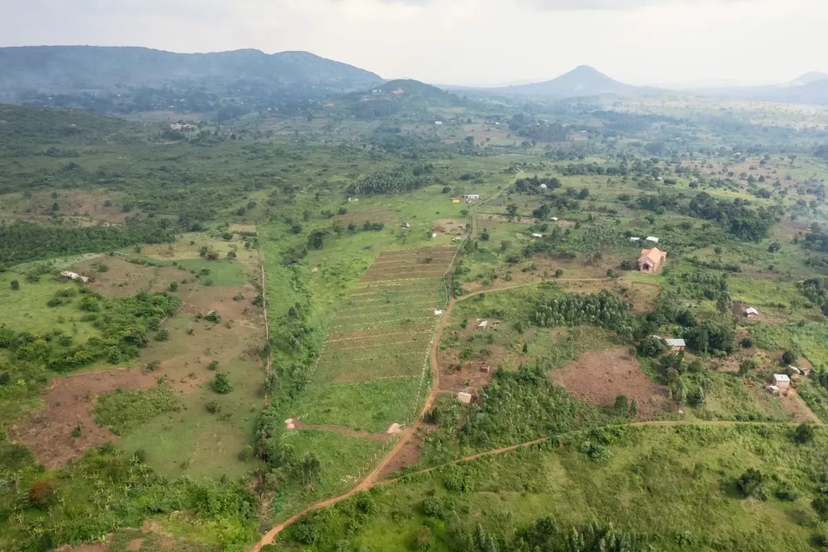 020326_How carbon project developers quantify biodiversity and community impact_visual 4