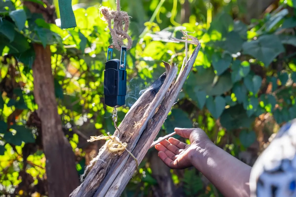 020326_How carbon project developers quantify biodiversity and community impact_visual 7