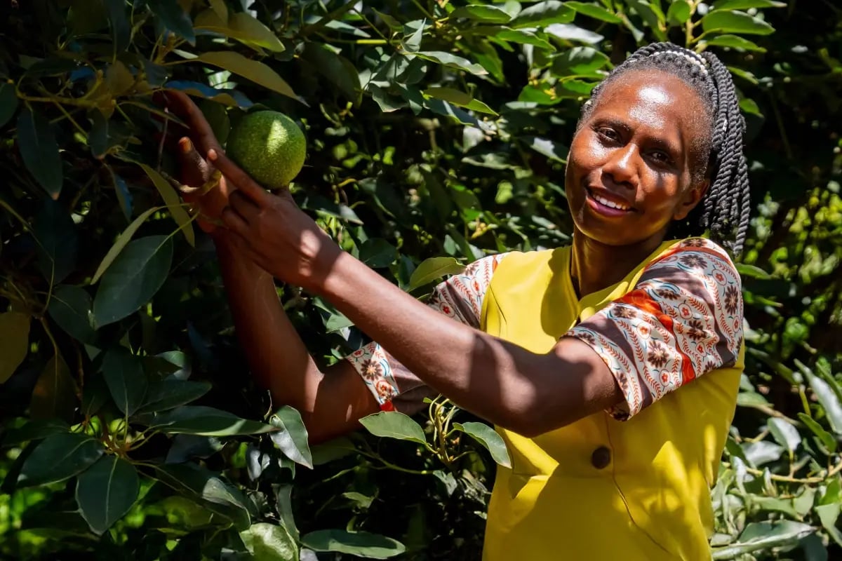 020326_How carbon project developers quantify biodiversity and community impact_visual 8