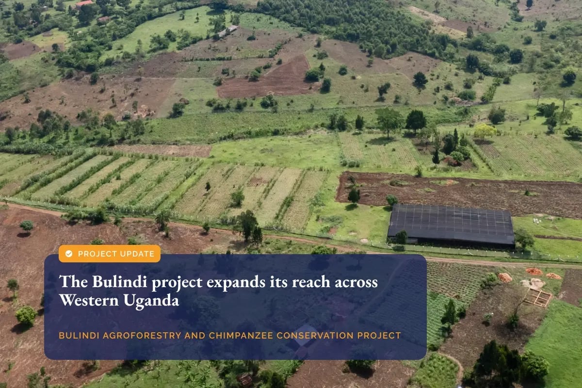 020426_Growing with purpose_ the Bulindi project expands its reach across western Uganda_visual 1