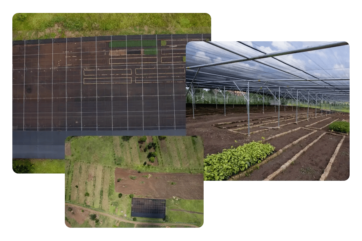 020426_Growing with purpose_ the Bulindi project expands its reach across western Uganda_visual 3