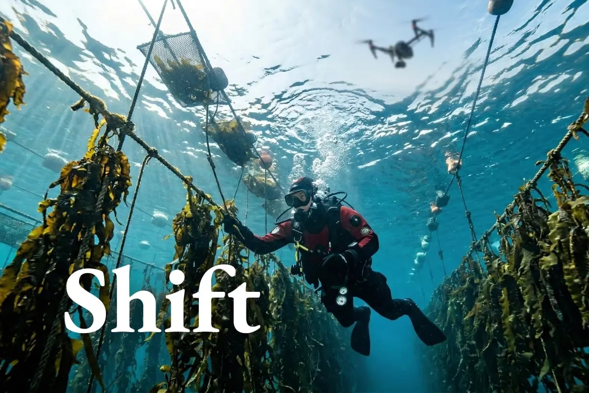 030326_GE_South Korea’s carbon market tightens as blue carbon trading moves closer_visual 1