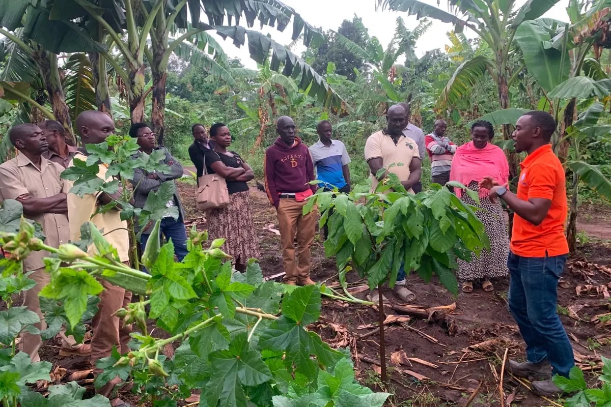 030926_Preparing farmers for a stronger planting season in Bulind_visual 2
