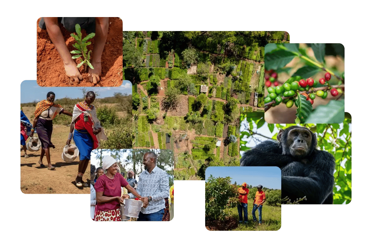040626_Best Carbon Credit Providers for Enterprises in 2026_visual 2