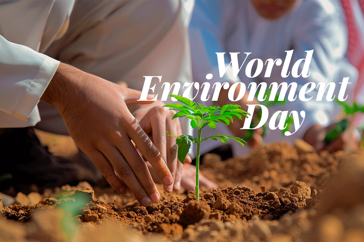 050624_What is world environmental day_a local from saudi arabia planting a seedling_visual 1