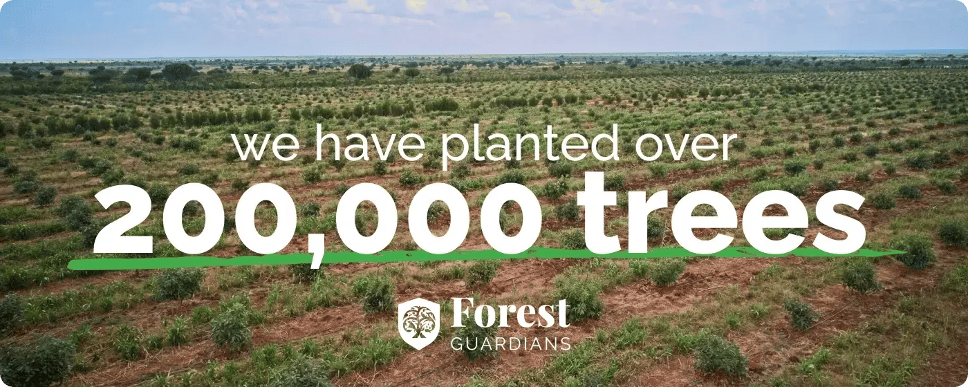 forest guardians_grow a green legacy