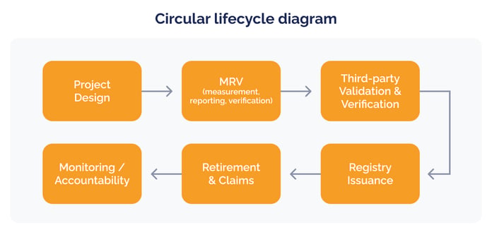 070526_Carbon credit project stewardship_ what happens after credit issuance_visual 2-1