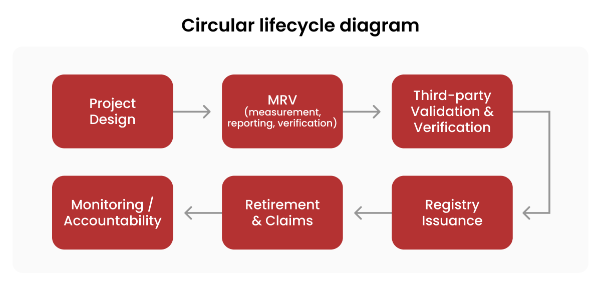 070526_Carbon credit project stewardship_ what happens after credit issuance_visual 2