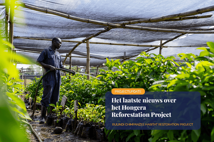 080324_The-Hongera-Reforestation-journey-unfolds-in-2024Visual-1_NL