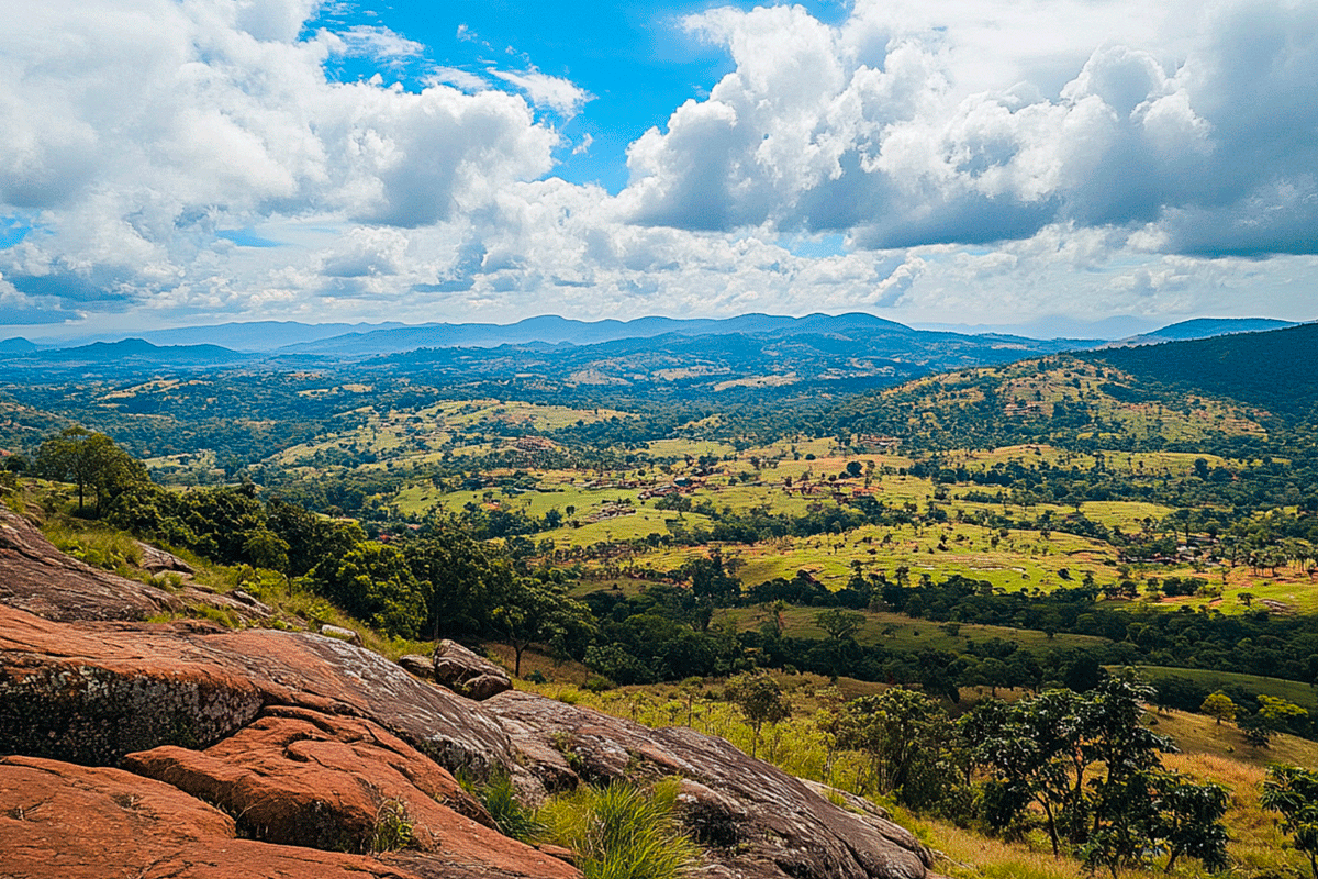 Reforestation and afforestation projects around the world: success ...