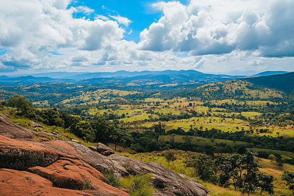 Reforestation and afforestation projects around the world: success ...