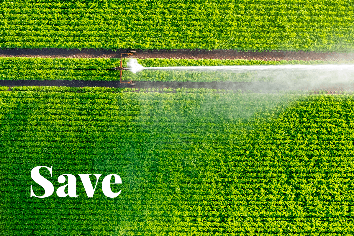 10 Simple ways to save water_crops being watered_Visual 1
