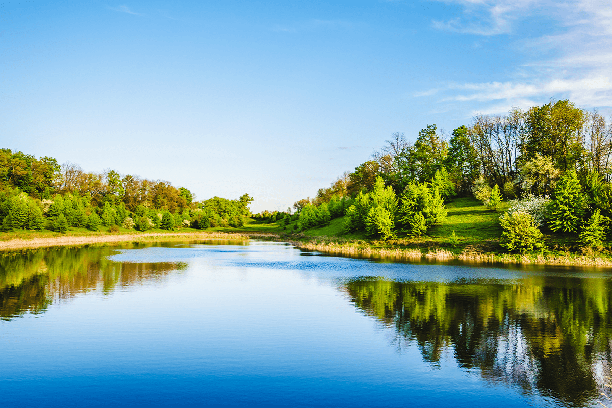 10 amazing benefits of planting trees_A lake near a forest_visual 4