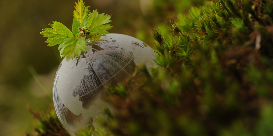 10 compelling reasons why you need carbon offsets