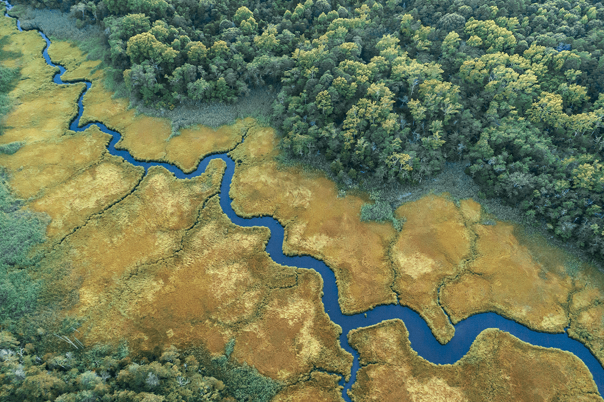 10 vital ecosystem services_aerial view of a creek in salt marshes_visual 5