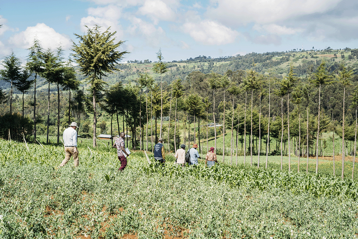 100 Reasons carbon credits are the best thing that ever happened to improve conditions on our planet_Agriculture landscape and DGB team members_visual 10