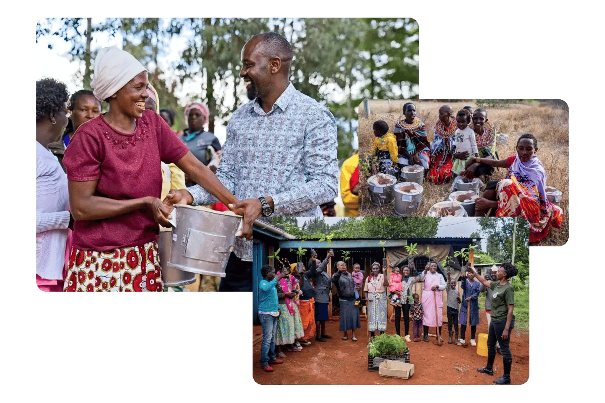 100226_The hidden strength of nature-based credits in corporate decarbonisation strategies_visual 3