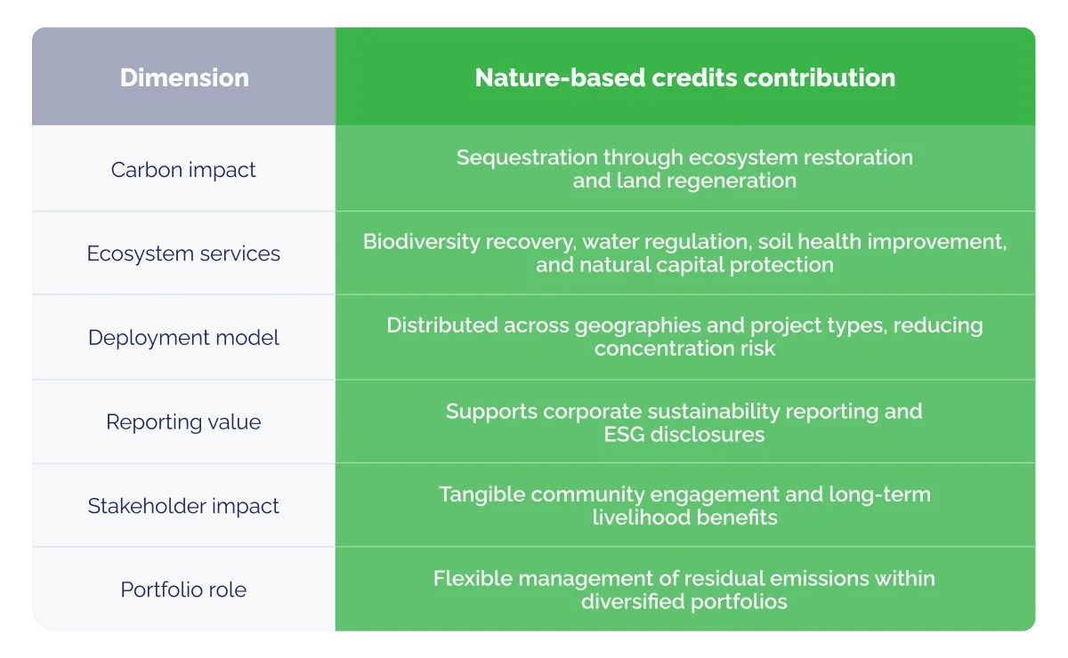 100226_The hidden strength of nature-based credits in corporate decarbonisation strategies_visual 4