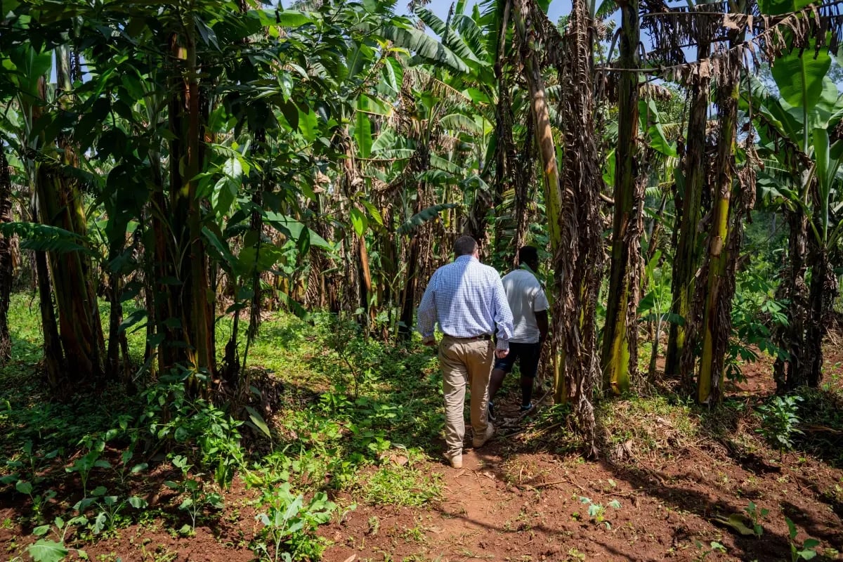 110226_Project update_Planning a food forest_ the foundations for long-term carbon integrity in Kenya_visual 4