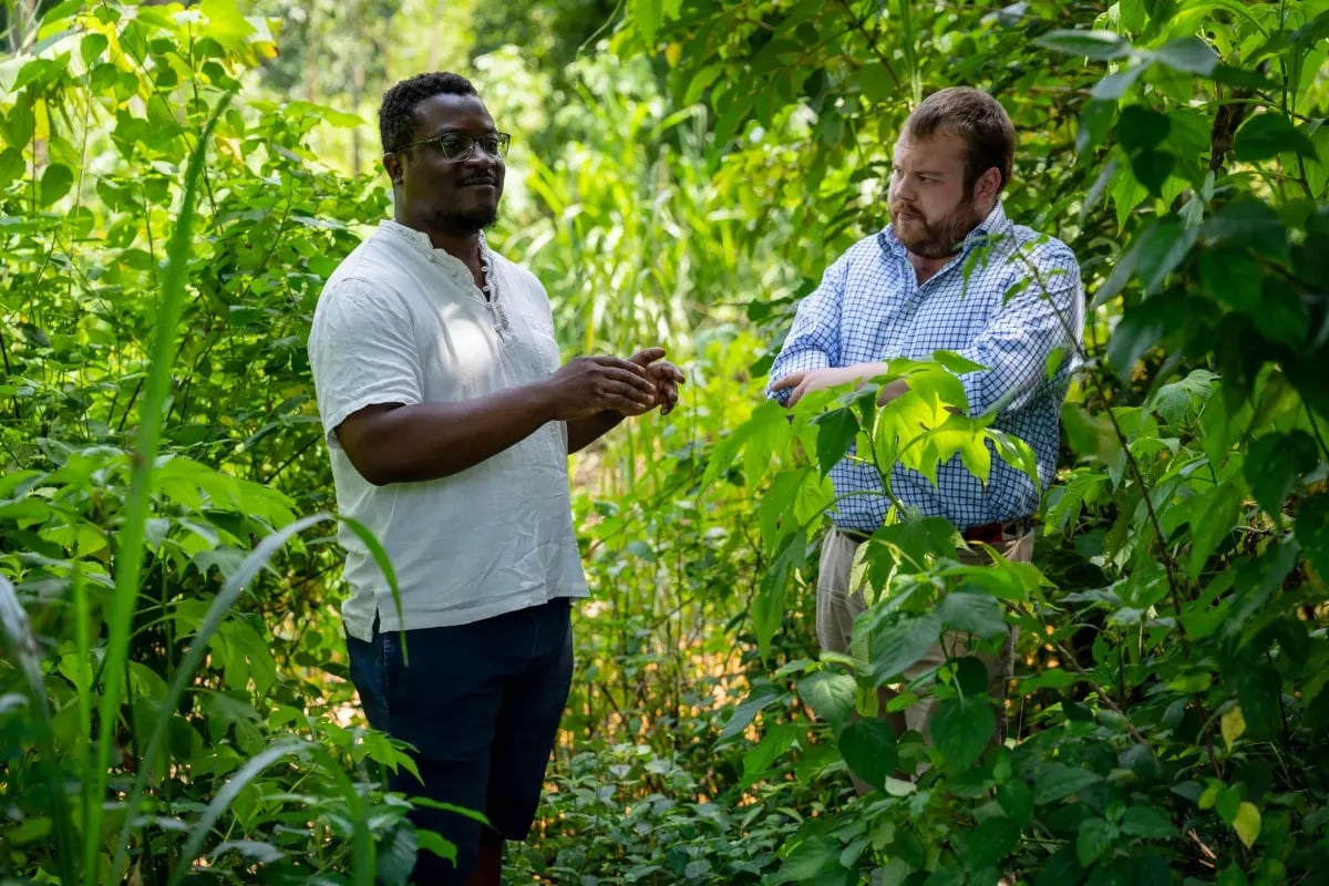 110226_Project update_Planning a food forest_ the foundations for long-term carbon integrity in Kenya_visual 5