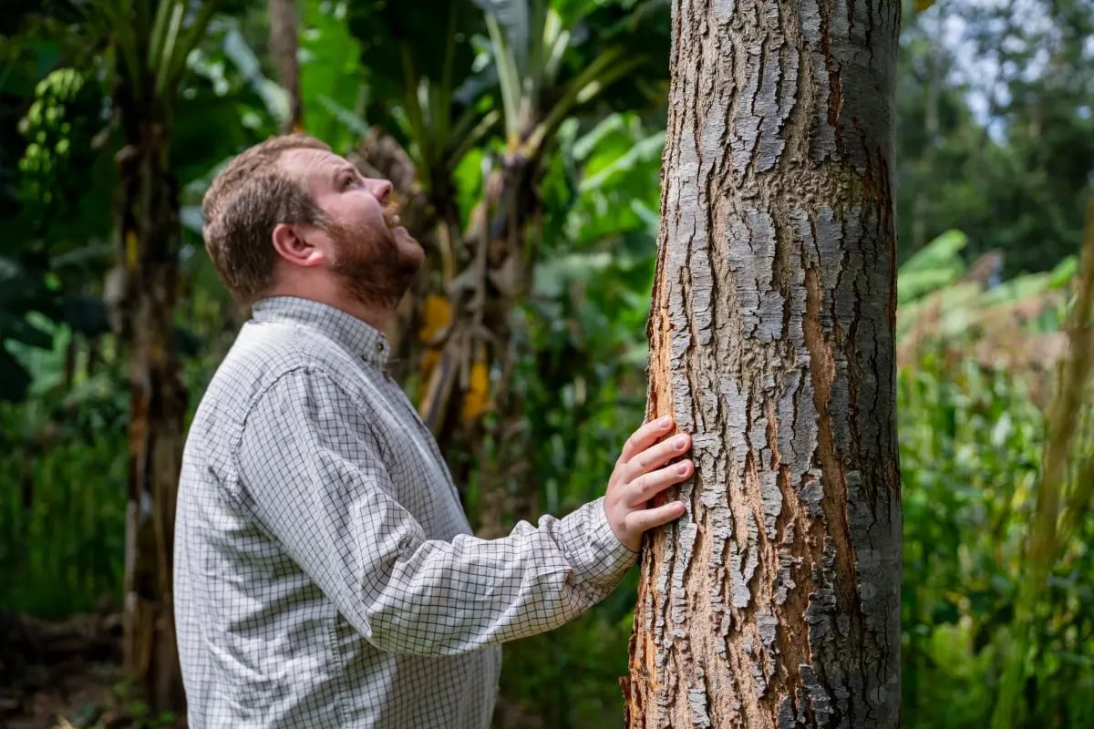 110226_Project update_Planning a food forest_ the foundations for long-term carbon integrity in Kenya_visual 6