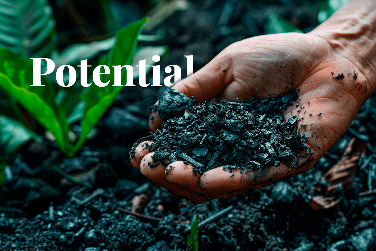 110324_The-future-of-carbon-offset-Toucans-new-marketplace-unlocks-the-potential-of-biochar-credits_visual of an open hand holding biochar_news_Visual-1