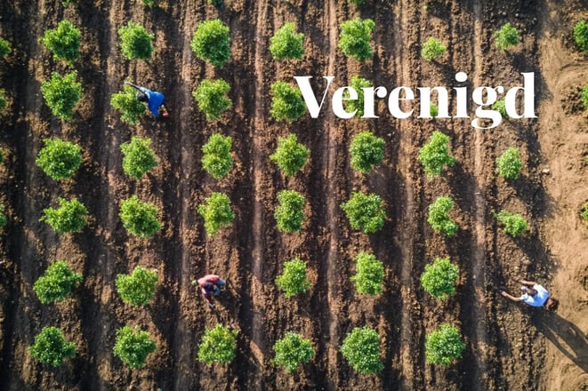 120525_Industry stakeholders call for governmental support to strengthen voluntary carbon markets_visual 1_NL