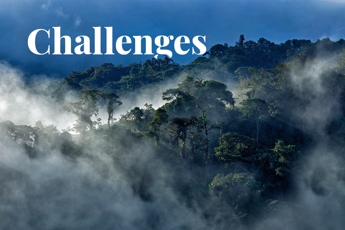 140323_Ecuadors Deforestation Challenges Balancing Economic Development and Environmental Protection_Visual 1