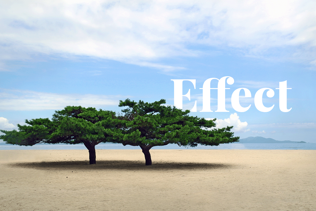 140323_North Koreas Deforestation and Its Effects on Food Security_Visual 1