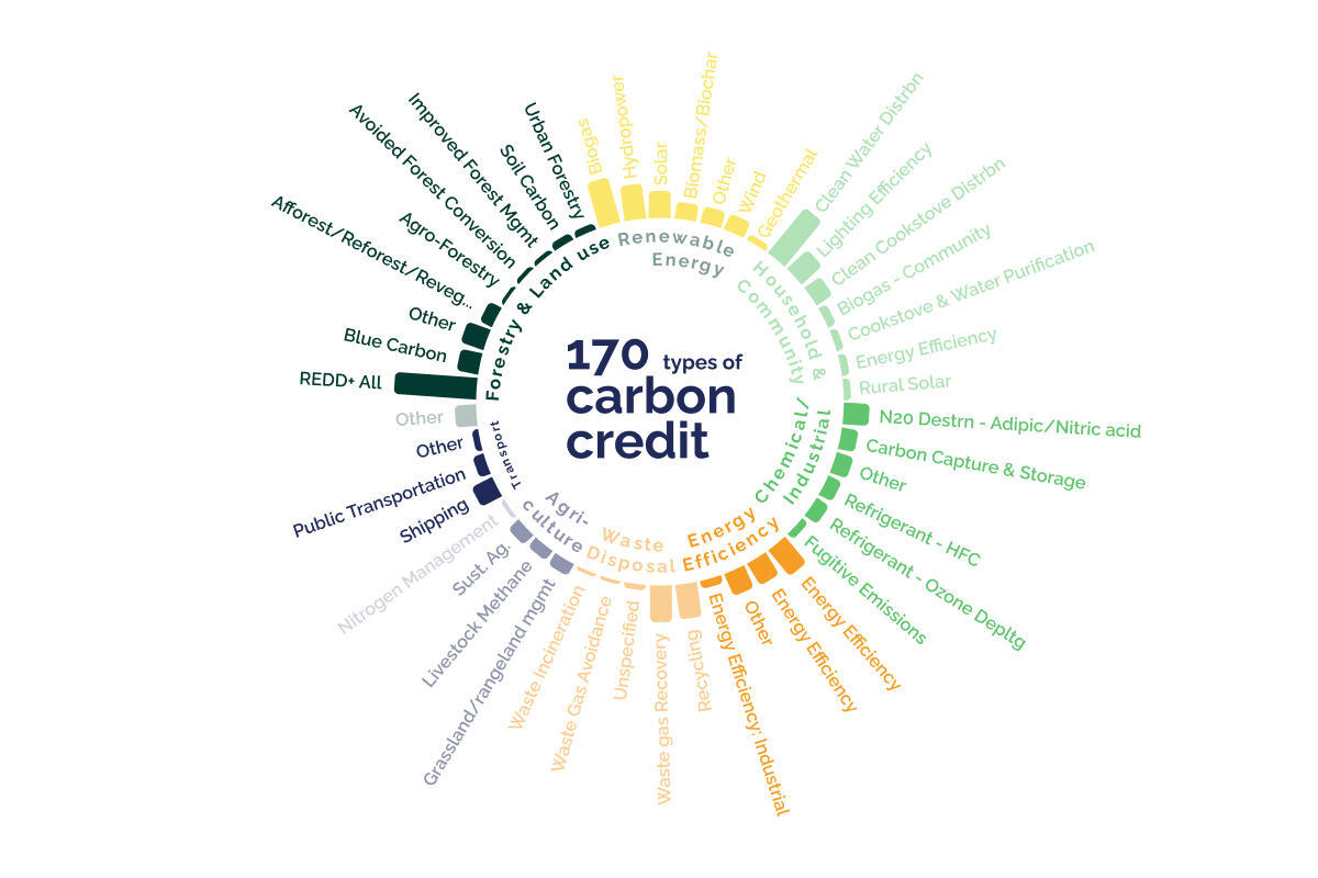 170 types of carbon credit_visual 5