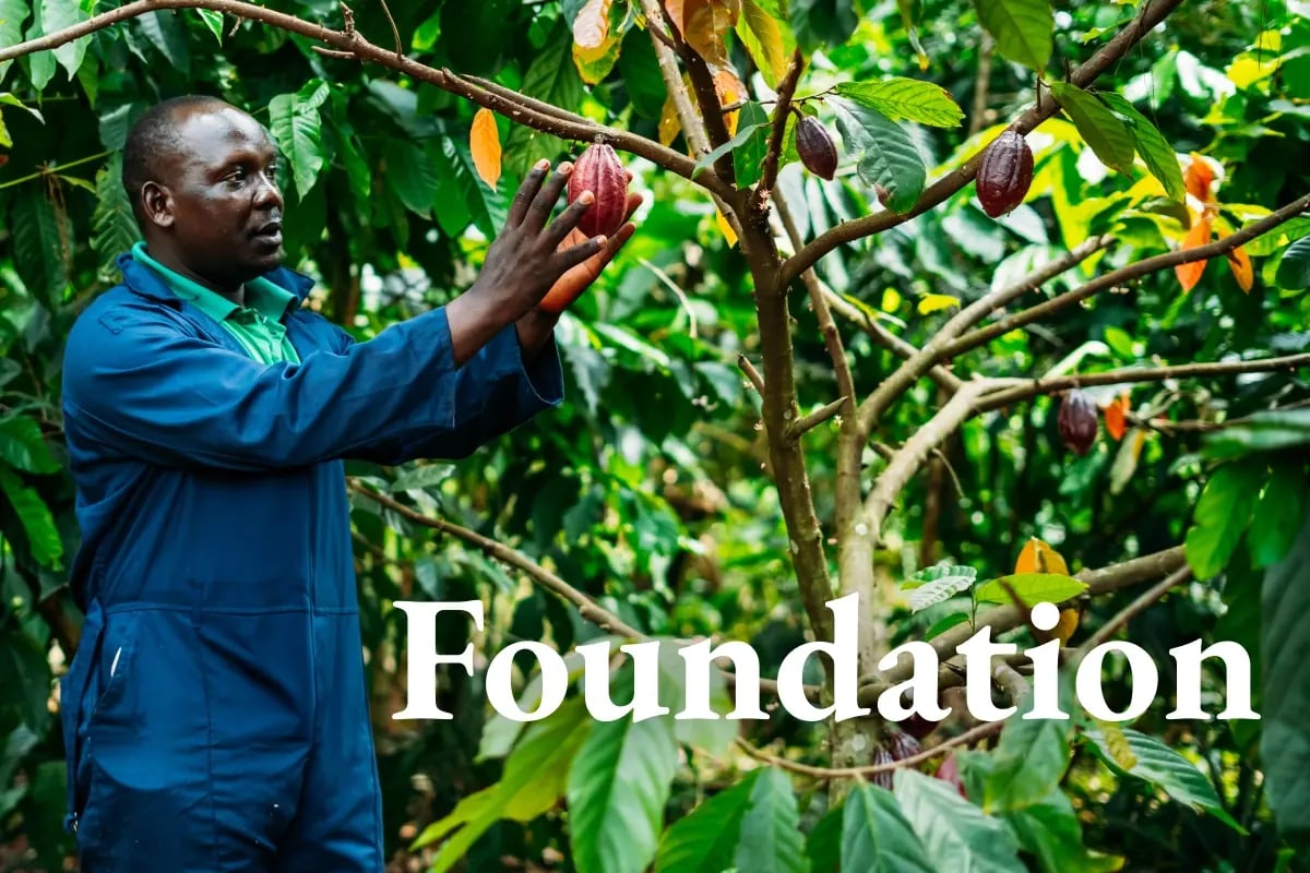 170626_How community stewardship makes carbon credits durable _visual 1