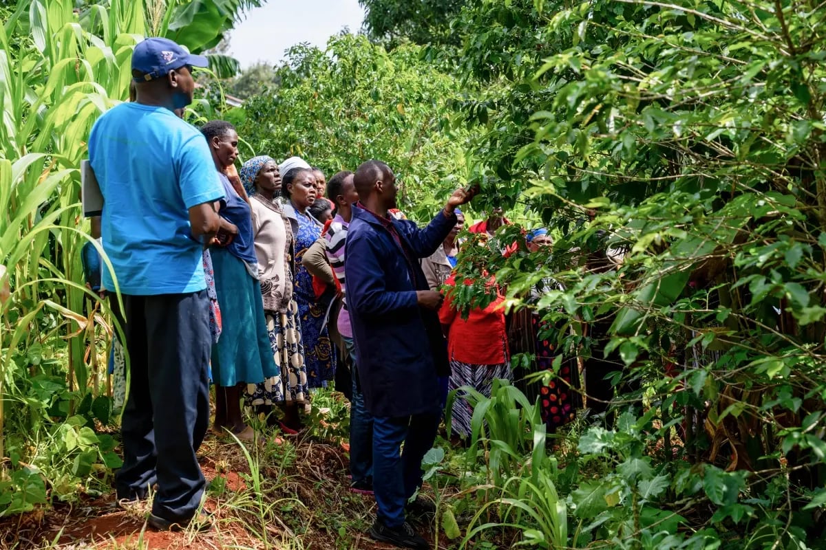 170626_How community stewardship makes carbon credits durable _visual 5