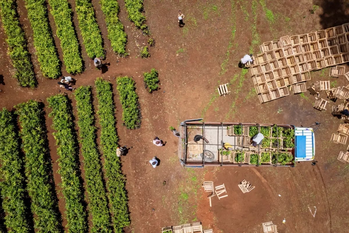 170626_How community stewardship makes carbon credits durable _visual 6