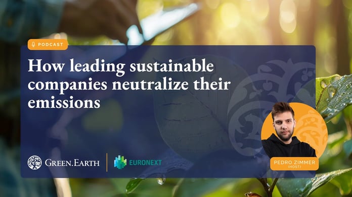 180126_How leading sustainable companies neutralize their emissions (1)