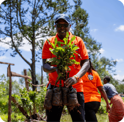 a man plants a tree
