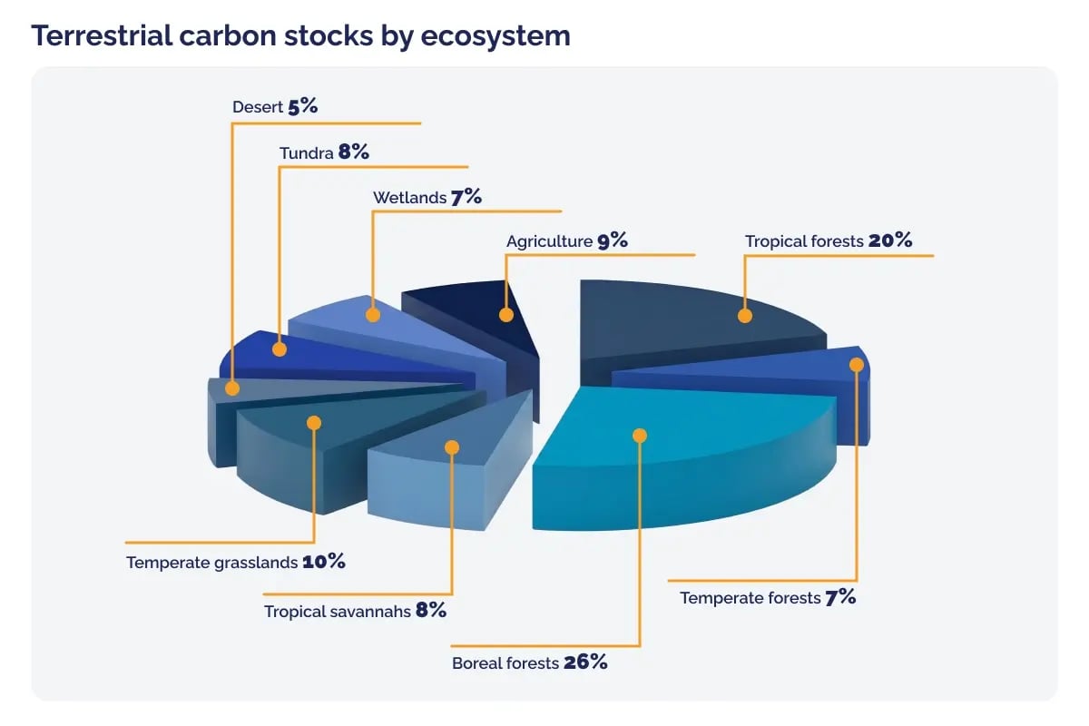 200526_The real cost of one tonne of CO2 for nature_visual 4