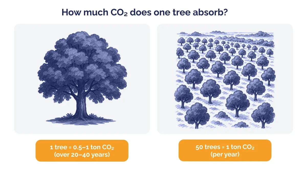 200526_The real cost of one tonne of CO2 for nature_visual 5