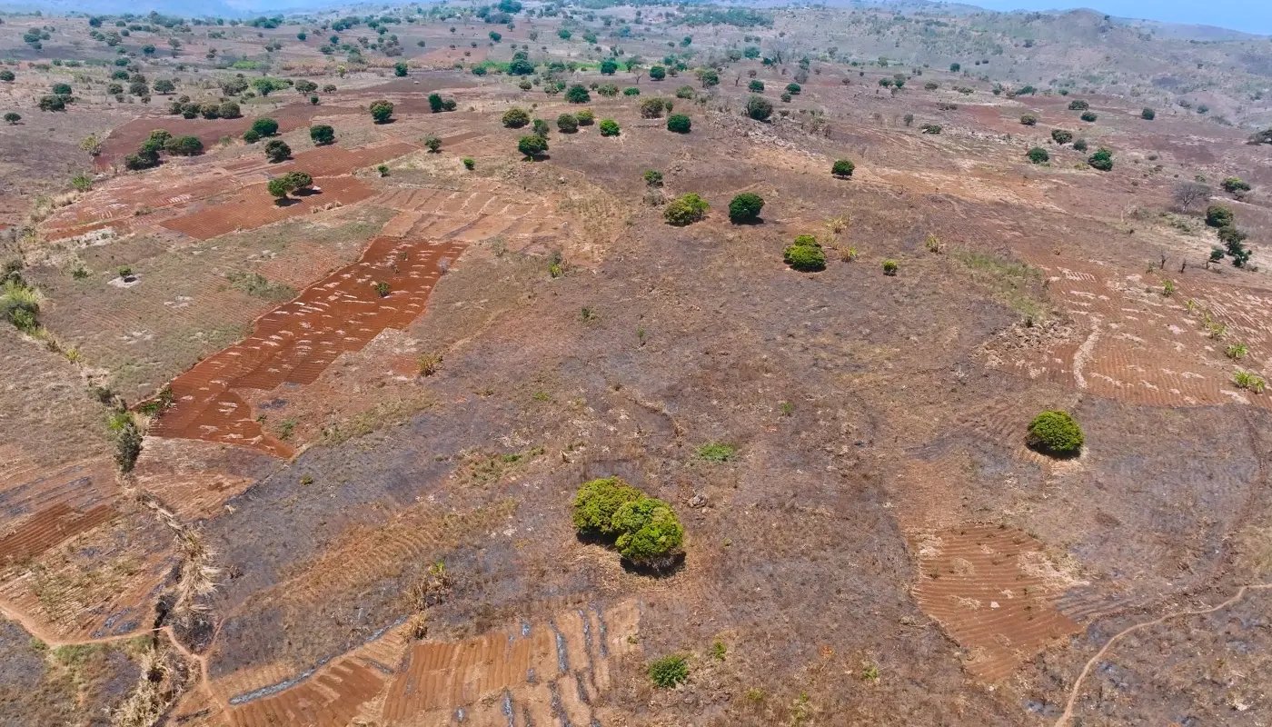 20260104_PR_Green Earth new project Malawi_visual 9