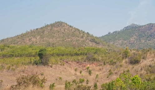 Deforestation in Malawi: causes and solutions