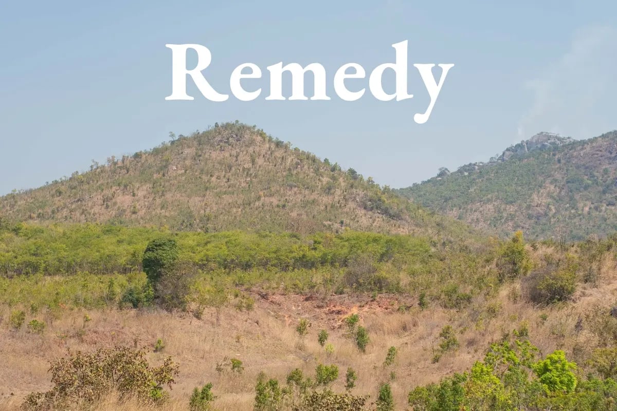 220726_Deforestation in Malawi_ causes and solutions_visual 1